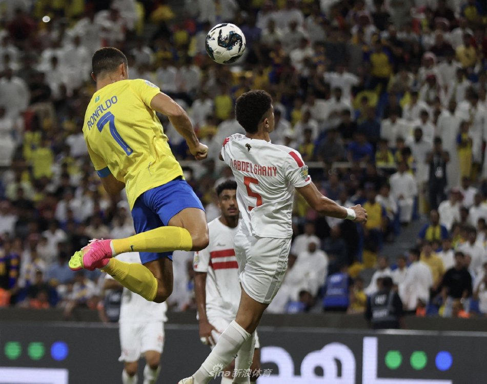 任卡塔尔国 任卡塔尔国